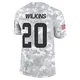 Youth Jordan Wilkins Arctic Camo Limited 2024 Salute to Service Football Jersey